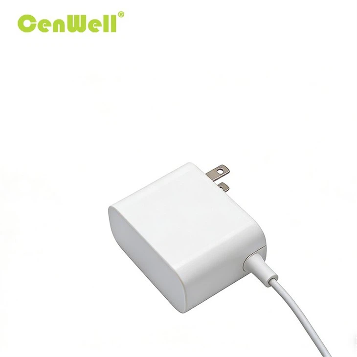 36W 5V 12V 24V Wall-mounted GaN AC Power Adapter US Plug best